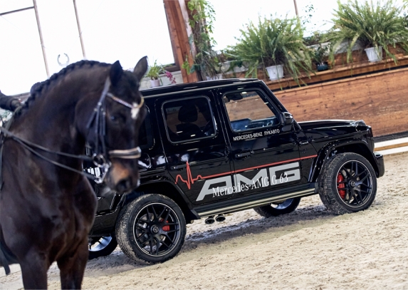 спонсорство спортивных мероприятий